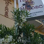 Delle Mimose فندق