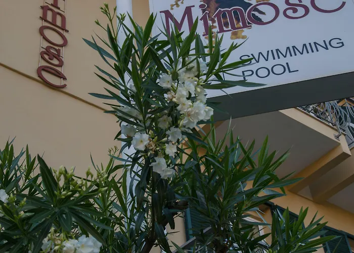 Delle Mimose Szálloda