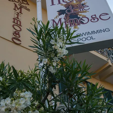 Delle Mimose Hotell