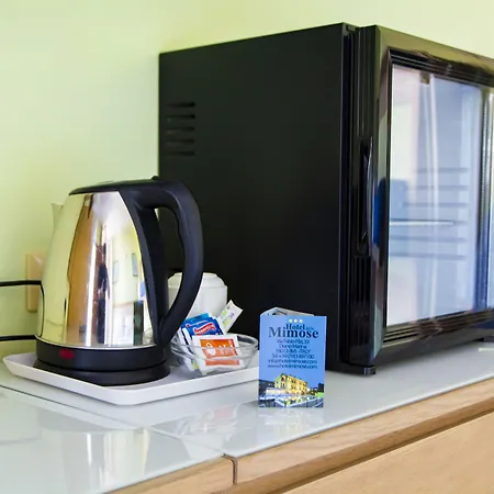 Delle Mimose Hotell Diano Marina