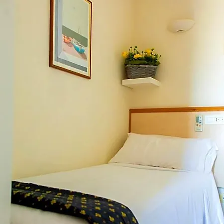 Hotel Delle Mimose
