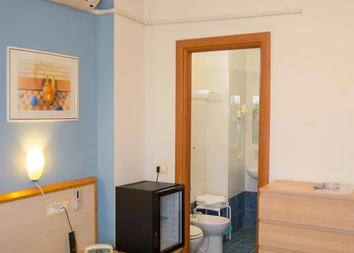 Delle Mimose Hotel 3*