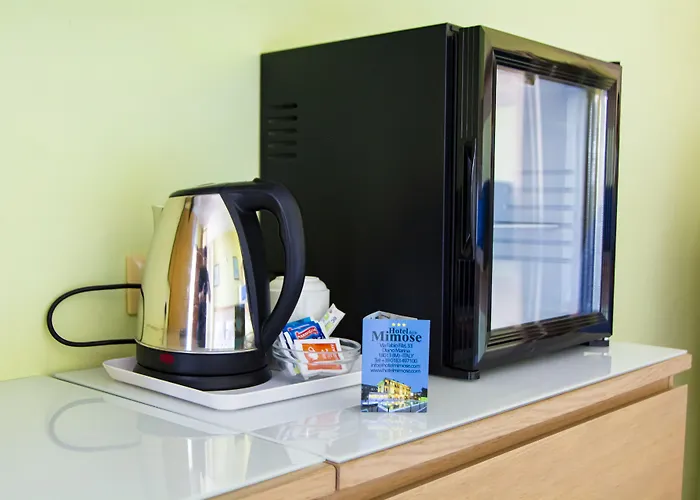 Delle Mimose Hotel Diano Marina