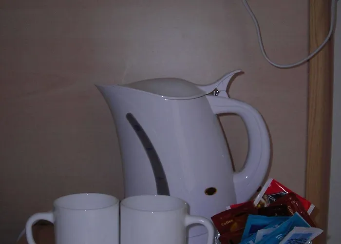 Hotel Delle Mimose Diano Marina